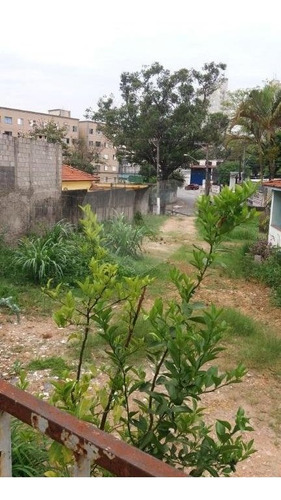 Imagem 17 de 28 de Terreno Residencial E Comercial À Venda E Locação, Parque Esmeralda, São Paulo. - Reo326360