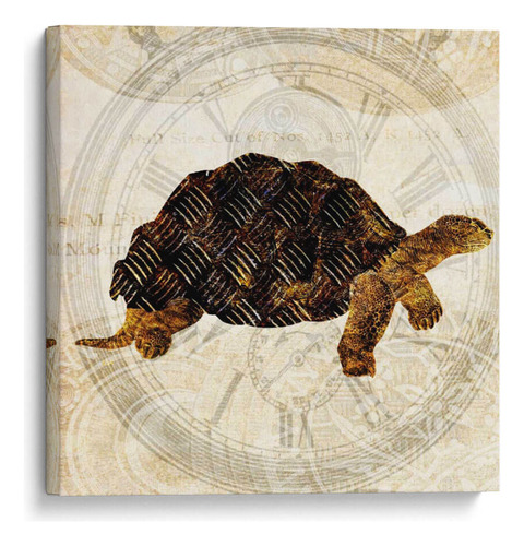 Canvas Lab Cuadro Turtle Punk Steam Ii 30x30, Pam Ilosky