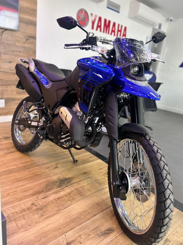 Lander 250 Abs 2025 Pronta Entrega (vend Erick)