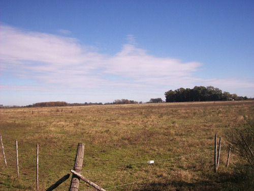 Terreno En Venta En Praderas De Lujan