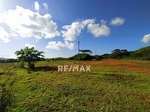 Imagen 4 de 9 de Re/max 2mil Vende Terreno Agricola En Santa Ana - Isla De Margarita