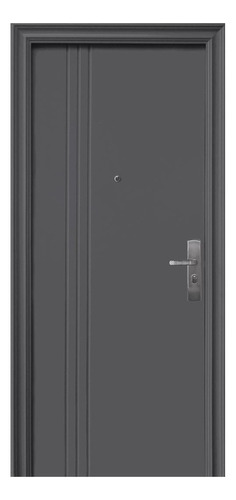 Puerta De Seguridad Xe 3l Apertura Izq Acero 100% Go Color Gris oscuro