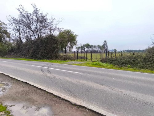 Venta Parcela 2 Hectáreas 1/4 A Orilla De Camino (177213)