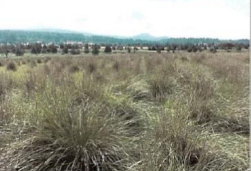 Los Reflejos Terreno Venta Tlatalpa Jalisco