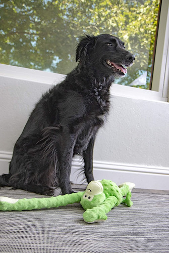 Godog Crazy Tugs Con Tecnologia De Proteccion Para Mastica