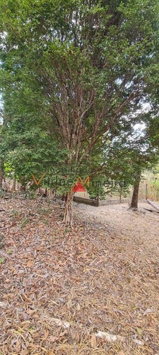 Imagem 12 de 15 de Chácara Para Venda Em Itatiaiuçu - 70523_2-1233756