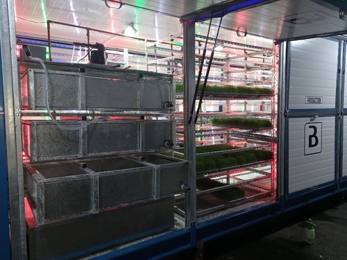 Imagen 3 de 6 de Módulo Productor De Forraje Verde Hidropónico Fh 300