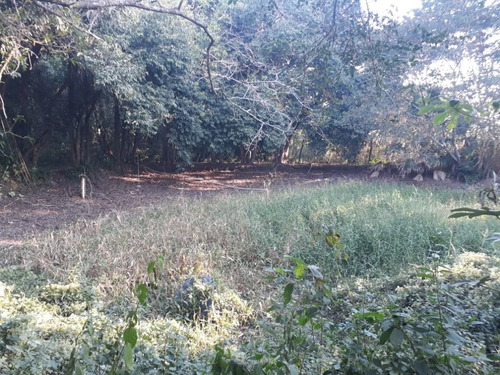 Imagem 21 de 30 de Sítio À Venda, 158994 M² Por R$ 700.000,00 - Santa Terezinha - Piracicaba/sp - Si0028