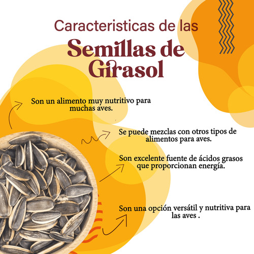 Imagen 3 de 5 de Semilla De Girasol 5kg - g a $11