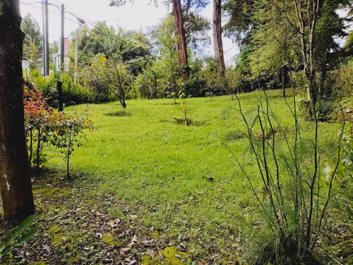 Imagen 29 de 30 de Vendo Bonita Granja, Media Manzana De Terreno, Ubicada A Orilla De Carretera Pavimentada, Muy Cerca De San Lucas Sacatepequez