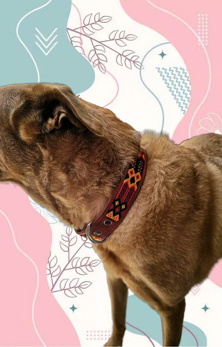 Collar Para Perro / Gato Artesanal Macramé A Mano Chico
