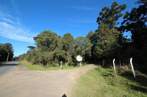 Imagem 7 de 12 de Chácara À Venda, 3300 M² Por R$ 750.000 - Campininha - Quatro Barras/pr - Ch0019
