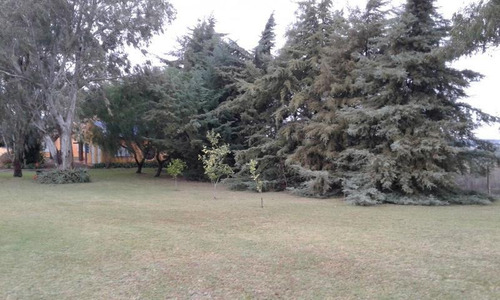 Amplia Casa Con Hermoso Parque.