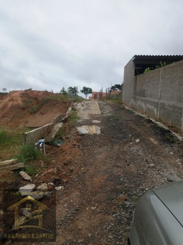Imagem 3 de 3 de Terreno No Jardim Nesita Próx. Ao Boni - Te00026 - 33367005