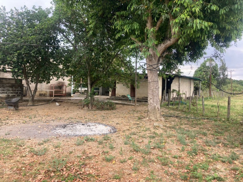 Finca En El Asentamiento Campesino Las Mariposa Plf-003