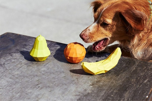 ... Juguete Interactivo Recargable Para Mascotas: Perra Geom