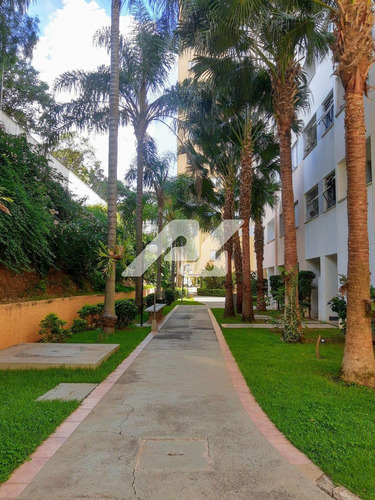 Imagem 23 de 28 de Apartamento Á Venda E Para Aluguel Em Jardim Dom Vieira - Ap010649