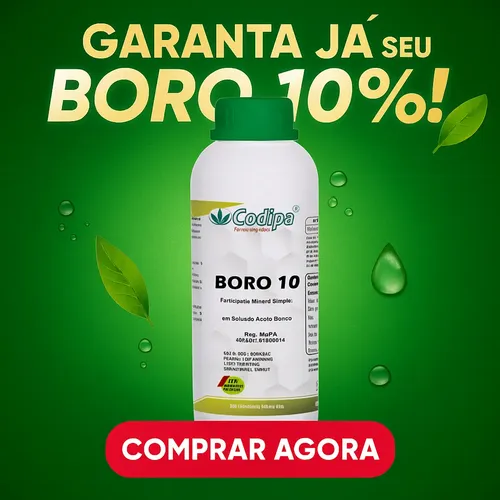 みかん-bora Boro 10% Fertilizante Fortalece Florada E Aumenta Fruto 25 L