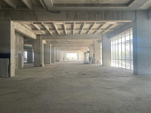 Hermoso Local Nuevo 355 Mt2 Altura 6 Mts En Pedregal Sobre Periferico Junto Plaza Artz