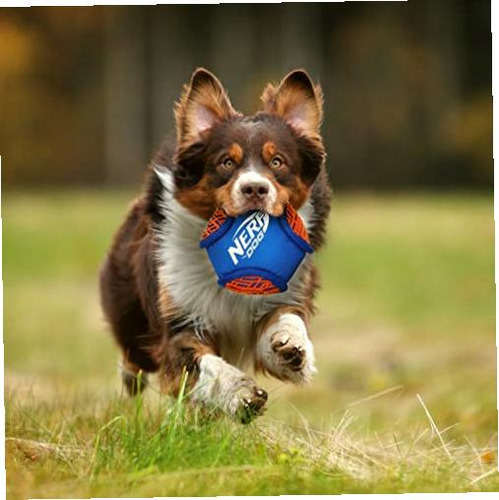 Nerf Dog Force Grip Hex Ball Juguete Para Perro, Ligero