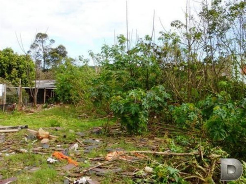 Imagem 3 de 4 de Terreno - Hipica - Ref: 2644 - V-2644