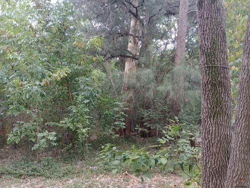 Terreno - Gualeguaychu
