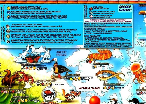 Imagem 3 de 5 de Mapa Ilustrado Animais Espécies Mundo Enfeite Para Biologia