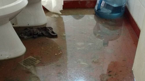 Destapaciones Cañerias Zona Sur Berazategui