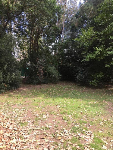 Imagen 12 de 12 de Terreno En Venta - Pilar