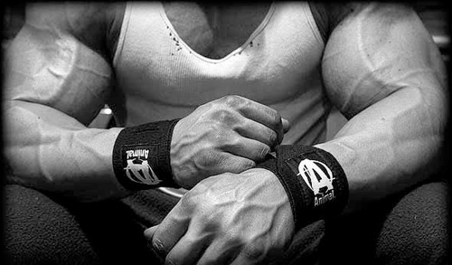 Muñequera Animal Wrist Wraps 1 Par Universal