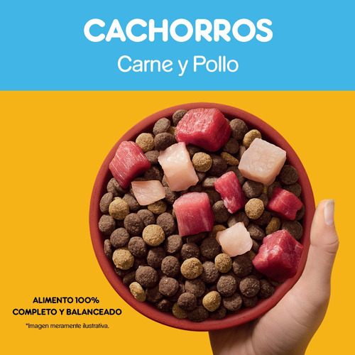 Imagen 4 de 9 de Pedigree Alimento Seco Para Perro Cachorro 15kg