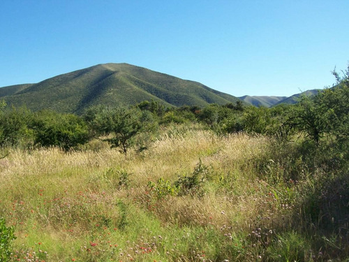 Imagen 3 de 9 de Chacras De Montaña/ Últimas Fracciones Disponibles