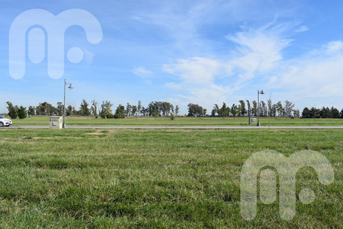 Imagen 8 de 13 de Venta Lote Area 60