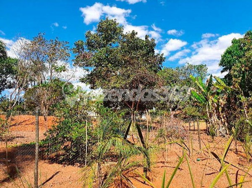 Imagem 10 de 12 de Rural Chacara Com 3 Quartos - 335-v