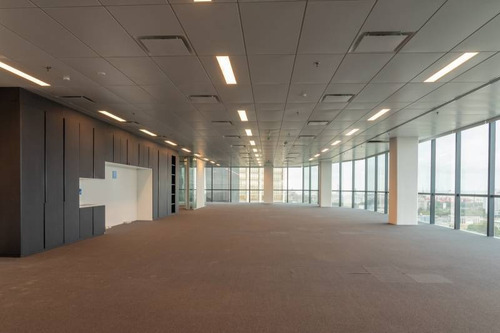 Imagen 4 de 30 de Oficinas Alquiler Catalinas