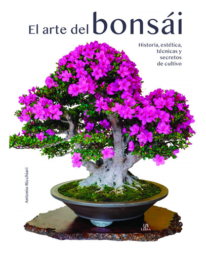 El Arte Del Bonsai - Ricchiari Antonio