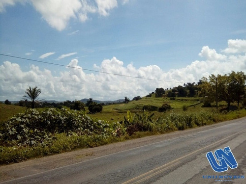 Imagem 13 de 14 de Fazenda Com 118 Tarefas Em São Sebastião Do Passé - Bahia - Afd046 - 70528054