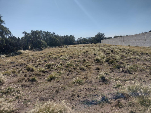 Terreno La Posta Tizayuca Hidalgo Sup. 4,500 Mts