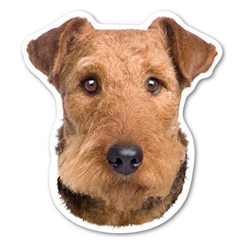 Airedale Terrier Imán