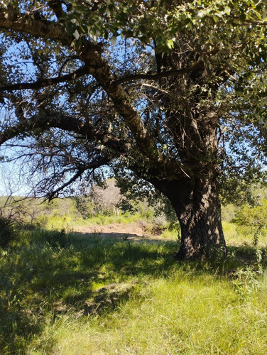 Lote De 2000 M2 En Tanti En Un Excelente Entorno