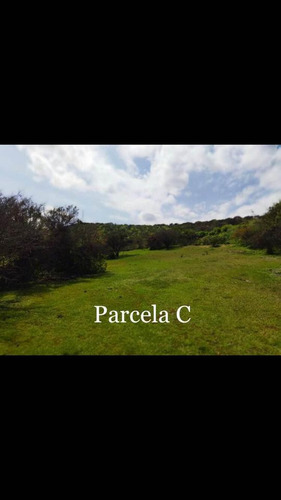 Se Vende Terreno Sector Los Laureles, Limache