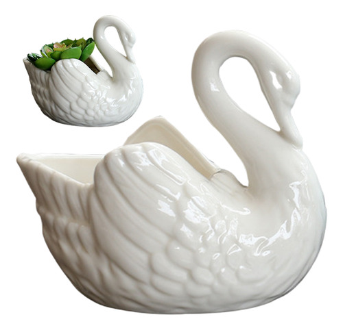Maceta Con Forma De Cisne, Bonitas Y Elegantes Macetas Sucul