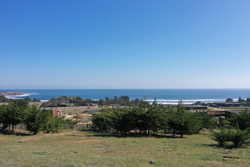 Vista Horizonte Punta De Lobos