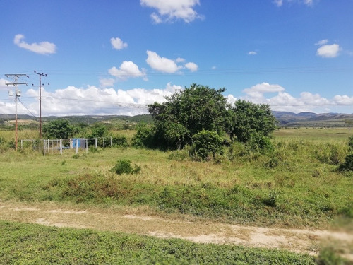 Terrenos En Venta En Autopista Cimarron Andresote.yaracuy Nv