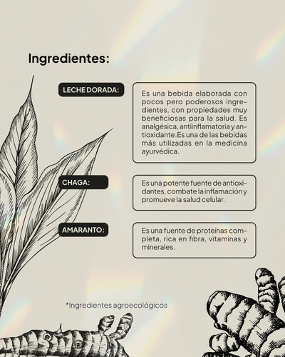 Golden Chaga: Leche Dorada| Antioxidante | Ideal Para Bebida