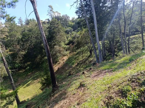 Encantadora Finca En Venta Cerca A Ríonegro