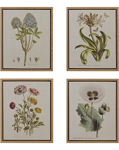 Martha Stewart Herbal Botany Arte De Pared Decoración De Sal