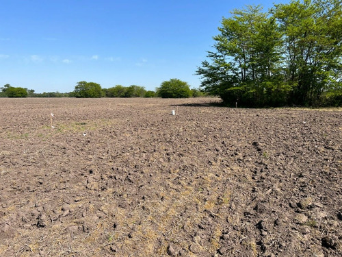 Lote En Venta En General Rodriguez, Zona Oeste, Sin Expensas, Excelente Ubicación Y Acceso Con Asfalto.