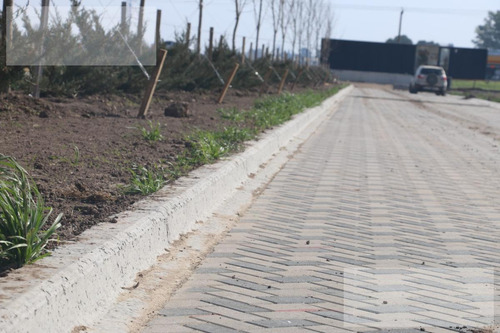 Imagen 12 de 25 de Ecotierra Norte - 456 M2