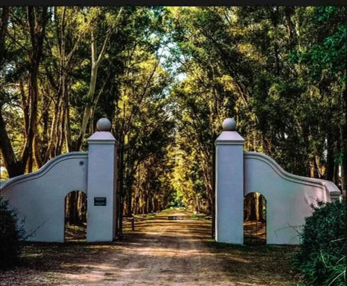 Venta Hermoso Lote En Chacras De San Andres
